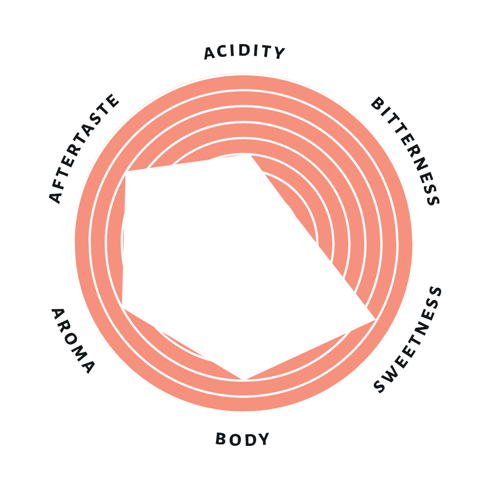Single Origin Coffee Beans - Brazil Minas Gerais