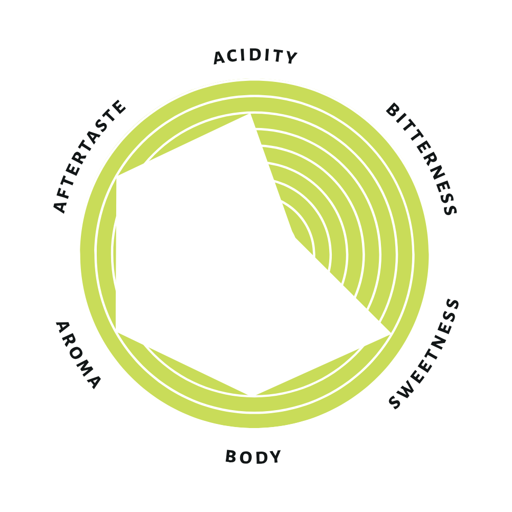 Single Origin Coffee Beans - Guatemala Nuevo Oriente