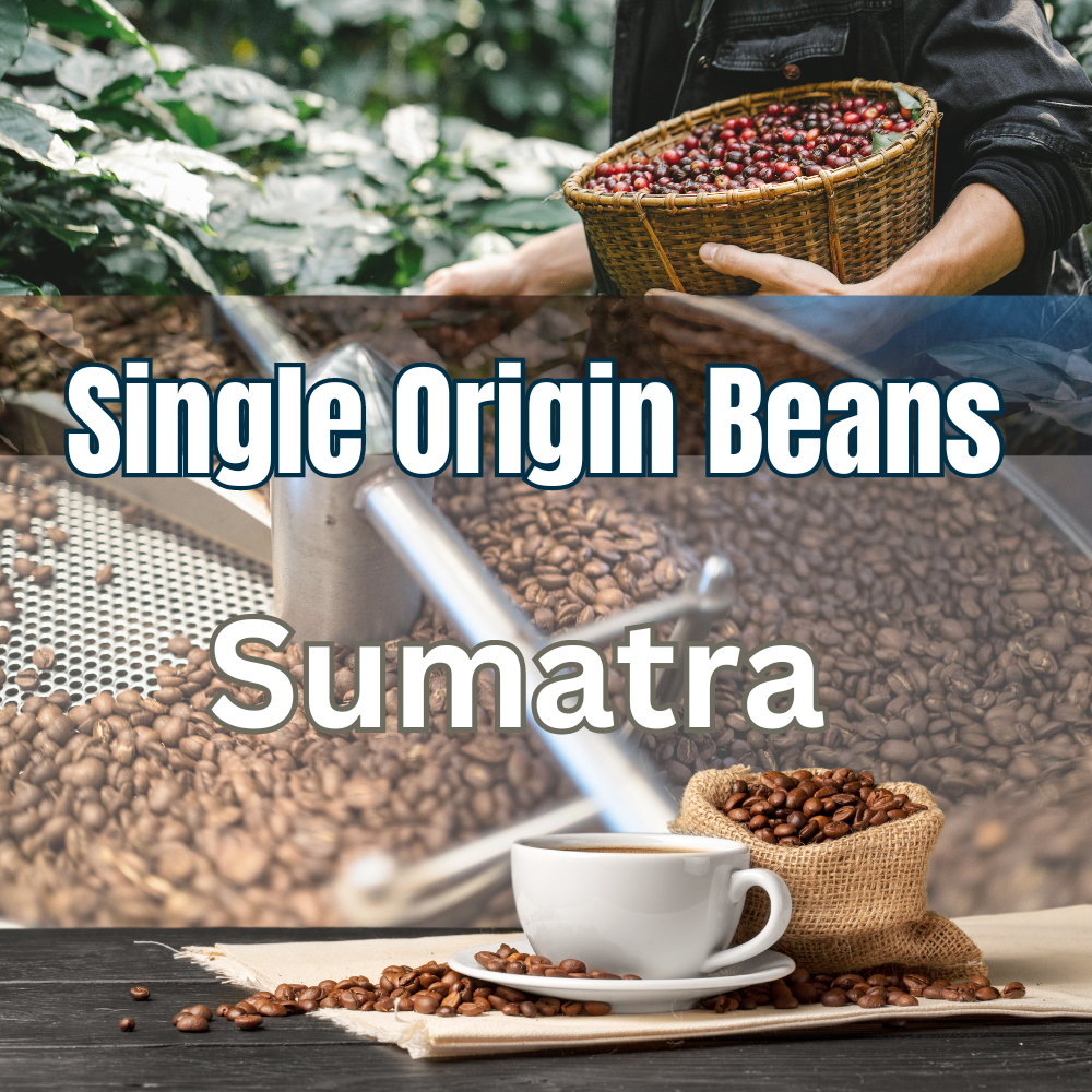Sumatra shop coffee beans