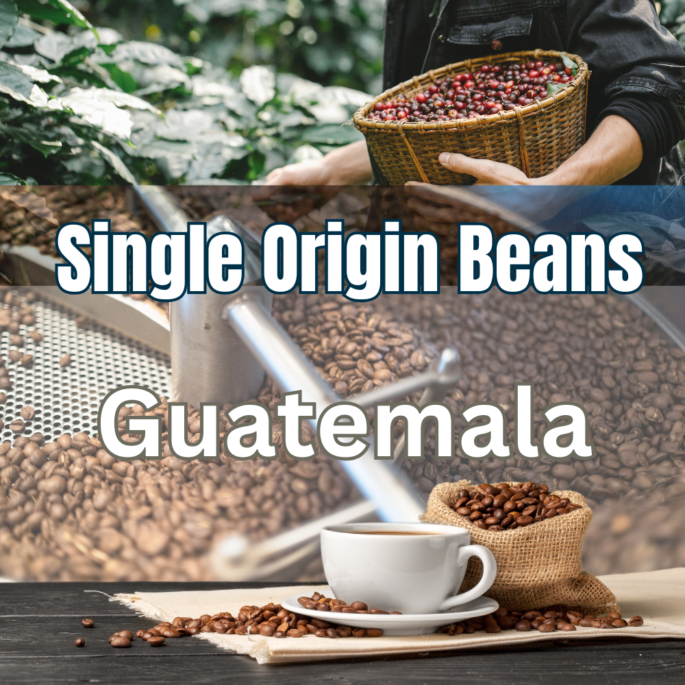 Single Origin Coffee Beans - Guatemala Nuevo Oriente